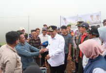 Wow Mantap! Kini Petani Bernafas Lega dengan Hadirnya Dana KUR Menyelamatkan Mereka dari Rentenir