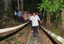 Menilik Petualang Pj Gubernur Sulsel Melewati Jalan Terjal Demi Pisang Cavendish untuk Kesejahteraan Masyarakat