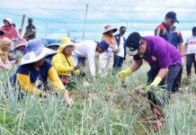 Cerita Perjuangan Petani Bawang di Enrekang ke Pj Gubernur Sulsel, Sekolahkan Dua Anaknya Sampai Kuliah