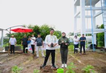 Mengoptimalkan Lahan Tidur Agar Produktif, Lihat Keren Kan? Nih Ekonomi Kerakyatan