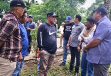 Program Budidaya Pemprov Sulsel Lagi Booming Mahasiswa Unsulbar Berkontribusi Tanam Sukun Disaksikan Pj Gubernur dan Bupati Maros