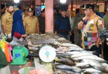 Jarak Cukup jauh Cuaca Tak Bersahabat Jadi Pemicu Kenaikan Komoditi, Pj Gubernur Sulsel Minta TPID Stabilkan Harga di Malili
