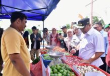 Pj Gubernur Sebut Harga Cabai dan Bawang Merah Turun di Palopo