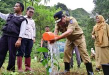 Wisata Bantimurung Jadi Sasaran Program Budidaya, Lihat Pj Gubernur Sulsel Bersama Bupati Maros Tanam Sukun
