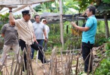 Cek Lokasi Pembibitan Diinisiasi Kelompok Tani di Bone, Pj Gubernur Bahtiar Sebut 100 Ribu Bibit Sukun Siap untuk Ditanam