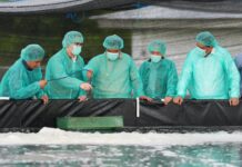Pemprov Sulsel – PT Bomar Kembangkan Benur Bisa Produksi Bibit 200 hingga 400 Juta Ekor untuk Masyarakat Pesisir