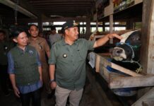 Pj Gubernur Sulsel Menunjukkan Keseriusannya untuk Tingkatkan Produksi Ternak