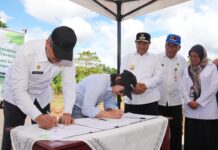 GGF- Pemprov Sulsel Teken MoU Budidaya Pisang Cavendish di Gowa