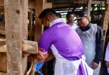 Pj Gubernur Sulsel Pastikan Program Inseminasi Buatan Sampai ke Masyarakat