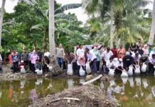 Pj Gubernur Sulsel dan Bupati Tebar 2,1 Juta Benih Ikan Air Tawar di Bone