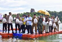 Pj Gubernur Sulsel Hendak Jadikan Kabupaten Wajo Sebagai Pusat Ikan Air Tawar
