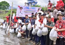 Pj Gubernur Sulsel Ajak Masyarakat Rawat Bendungan Bili-bili Usai Tebar 100 Ribu Benih Ikan