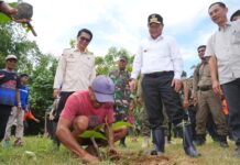 Dukungan Terus Berdatangan ke Pj Gubernur Sulsel Meyerukan Tanam Pohon Serentak di Hari Bumi