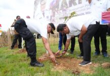Hari Bumi, Sulsel Tanam 2 Juta Pohon Terbesar di Indonesia