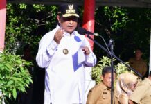 Pj Gubernur Bahtiar Apresiasi Bantuan OPD untuk Korban Bencana di Sulsel