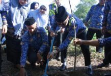 Pj Gubernur Prof Zudan Serukan Gerakan Menanam Satu Pohon Tiap KK di Sulsel