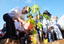 Pj Gubernur Sulsel Prof Zudan Ajak Masyarakat Pulihkan dan Lestarikan Lingkungan