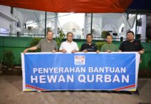 Masya Allah, Indomaret Serahkan Bantuan Sapi Kurban ke Pemkot Makassar