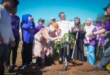 Peringati HUT ke-87 Keluarga HIKMA Enrekang, Indira Yusuf Ismail Sampaikan Selamat dan Ikut Tanam Pohon