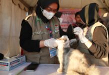 Dinas Perikanan dan Pertanian Kota Makassar Sediakan Free Vaksinasi Rabies untuk Hewan Kesayangan di Zona 5 F8