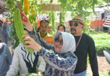 Indira Yusuf Ismail Tinjau Produk UMKM dan Main Engklek serta Panen Sayur di Longwis Ichinomia