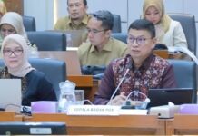 Tinggalkan Forum Indonesian-Africa di Bali, Kepala BPOM Hadiri RDP Komisi IX DPR