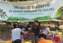 Panen Cabai Hasil Usaha Mandiri, Ketua Pengda PJI Sulsel, Syafril Rahmat : Mudah-mudahan Kedepan Kami Bisa Panen dalam Jumlah yang Lebih Besar Lagi