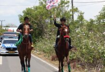 Diarak Warga Jeneponto Pakai Kuda Sambil Cagub Sulsel Danny Pomanto Disebut-sebut Gubernur