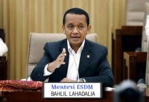 Menteri ESDM Minta Tambahan Saham Pemerintah di PT Freeport Tanpa Biaya