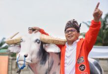Ikon yang Dihilangkan Akan Dikembalikan ke Pemprov Sulsel, Begitu Kata Cagub Danny Pomanto