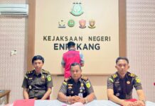 Koruptor Bibit Kopi Enrekang Dijebloskan ke Penjara