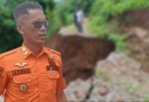 Maros Siaga Cuaca Ekstrem: Longsor dan Pohon Tumbang Ancam Warga