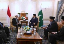 Prabowo Temui PM Pakistan di Kairo, Dorong Penguatan Ekonomi dan Perdagangan