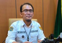 Respons Kepala BPN Maros Terkait Seritifkat Tanah di Kawasan Mangrove yang Digunduli