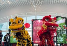 Tahun Baru Imlek di Bandara Sultan Hasanuddin, Penumpang Disuguhkan Atraksi Barongsai