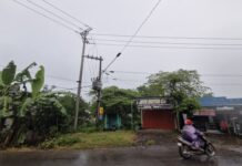 Warga Protes ke PLN Gegara Tiang Listrik Terpasang di Lahannya Tanpa Izin