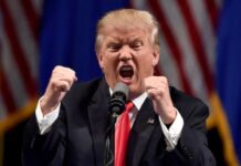 Rencana Kontroversial Trump: Kuasai Jalur Gaza dan Relokasi Warga Palestina