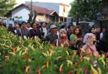 Maksimalkan Pemanfaatan Longwis, DP2 Makassar Salurkan Bantuan Bibit Sayur dan Ikan