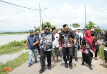 Lebih Dari Tiga Juta Hektare Sawah di Sulsel Terancam Puso Akibat Banjir, Pemprov Siapkan Bantuan
