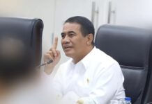 Dorong Swasembada Pangan, Mentan Andi Amran: 3 Juta Lahan Sawah dan 27 Ribu Petani Milenial Disiapkan