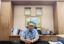 Dinilai Lebih Irit, Pemkab Maros Pilih Rental Randis Untuk Wakil Bupati dan Para Kadis