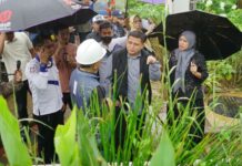 Dukung Infrastruktur Hijau, Munafri Arifuddin Pastikan Tambahan Fasilitas untuk Proyek RISE