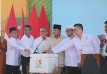 Tanam Padi Serentak 14 Provinsi, Prabowo: Petani Harus Makmur