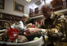 PM Australia Beri Kalung Syal untuk Bobby Kucing Prabowo, Tanda Cinta untuk Indonesia
