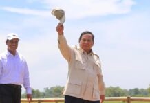 4 Juta Ton Beras: Prabowo Buktikan Indonesia Tak Butuh Impor Lagi?