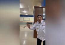 Bikin Ngakak! Momen Kadal Raksasa ‘Adang’ Bupati Maros di Kantornya