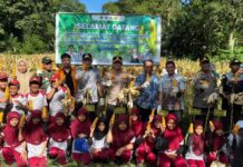 Hadiri Panen Jagung di Bantimurung, Kapolres dan Wakil Bupati Maros Apresiasi Petani Wujudkan Ketahanan Pangan