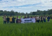 Agribisnis UNHAS Bantu Petani Barru Lawan Kemiskinan Lewat Bibit Lokal dan Modal Sosial
