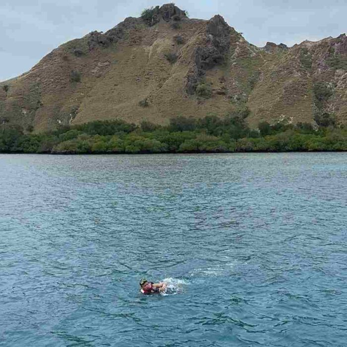 IMG 20250714 WA0001 11zon e1752458644246