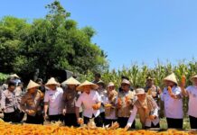 Uji Petik Ketahanan Pangan, Mabes Polri Apresiasi Program Polres Maros
